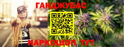 молекула духа Кингисепп