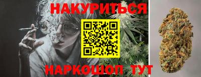 стаф Кинель