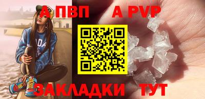 молекула духа Кингисепп