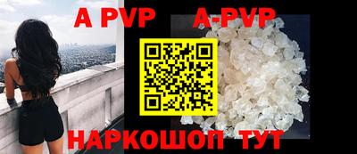 молекула духа Кингисепп