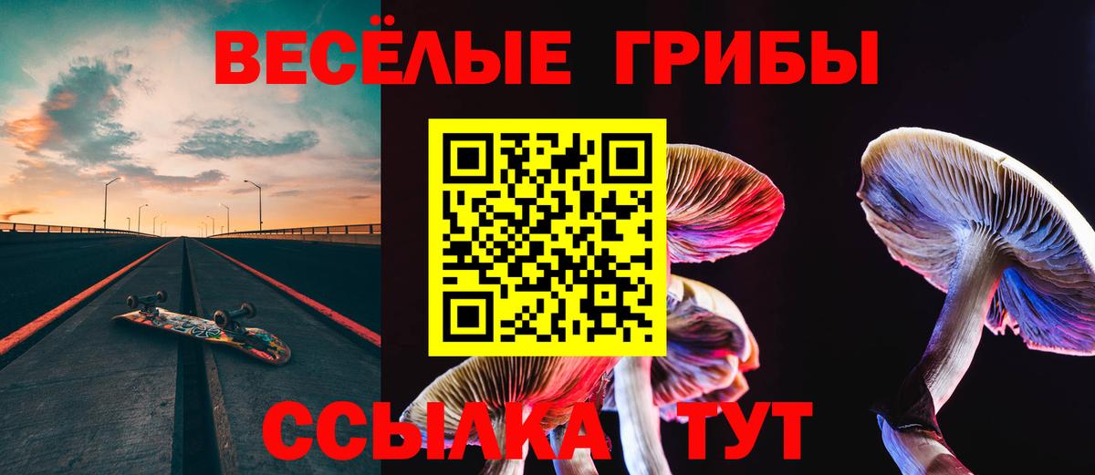 Псилоцибиновые грибы мицелий  Псилоцибиновые грибы прущие грибы  Вход с VPN  Красноармейск 